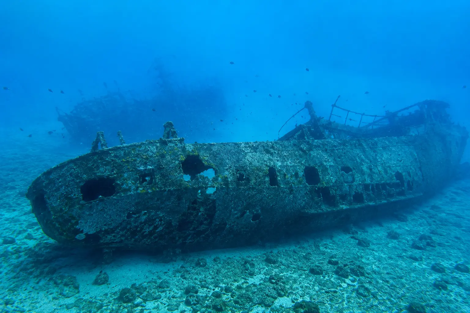 Abu Nuhas wreck dive Giannis D Carnatic Red Sea