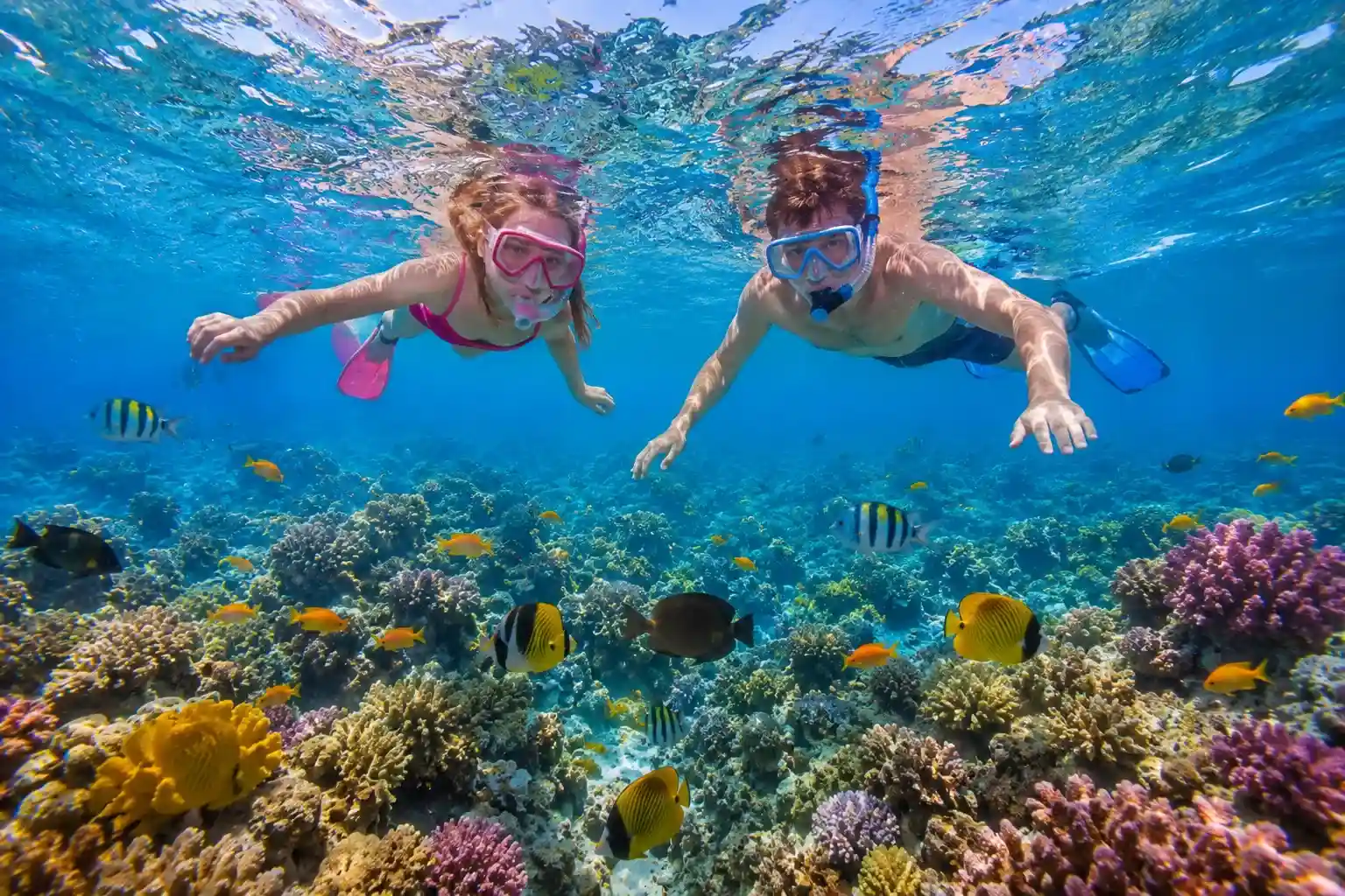 Snorkeling tour family group Red Sea Hurghada coral reef