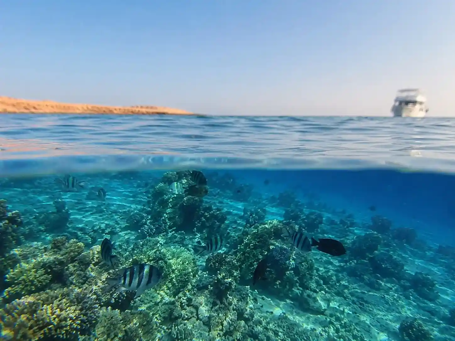 Abu Ramada coral reef dive site Hurghada