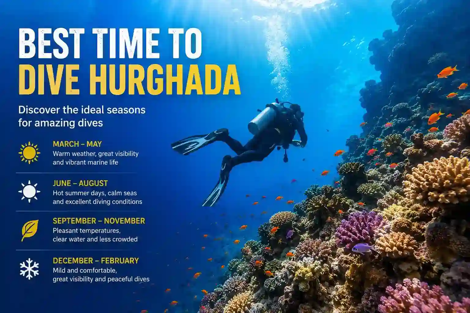 Best time to dive Hurghada season guide