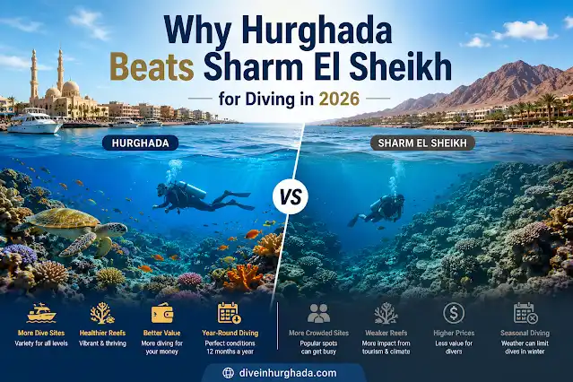 Hurghada vs Sharm El Sheikh diving comparison