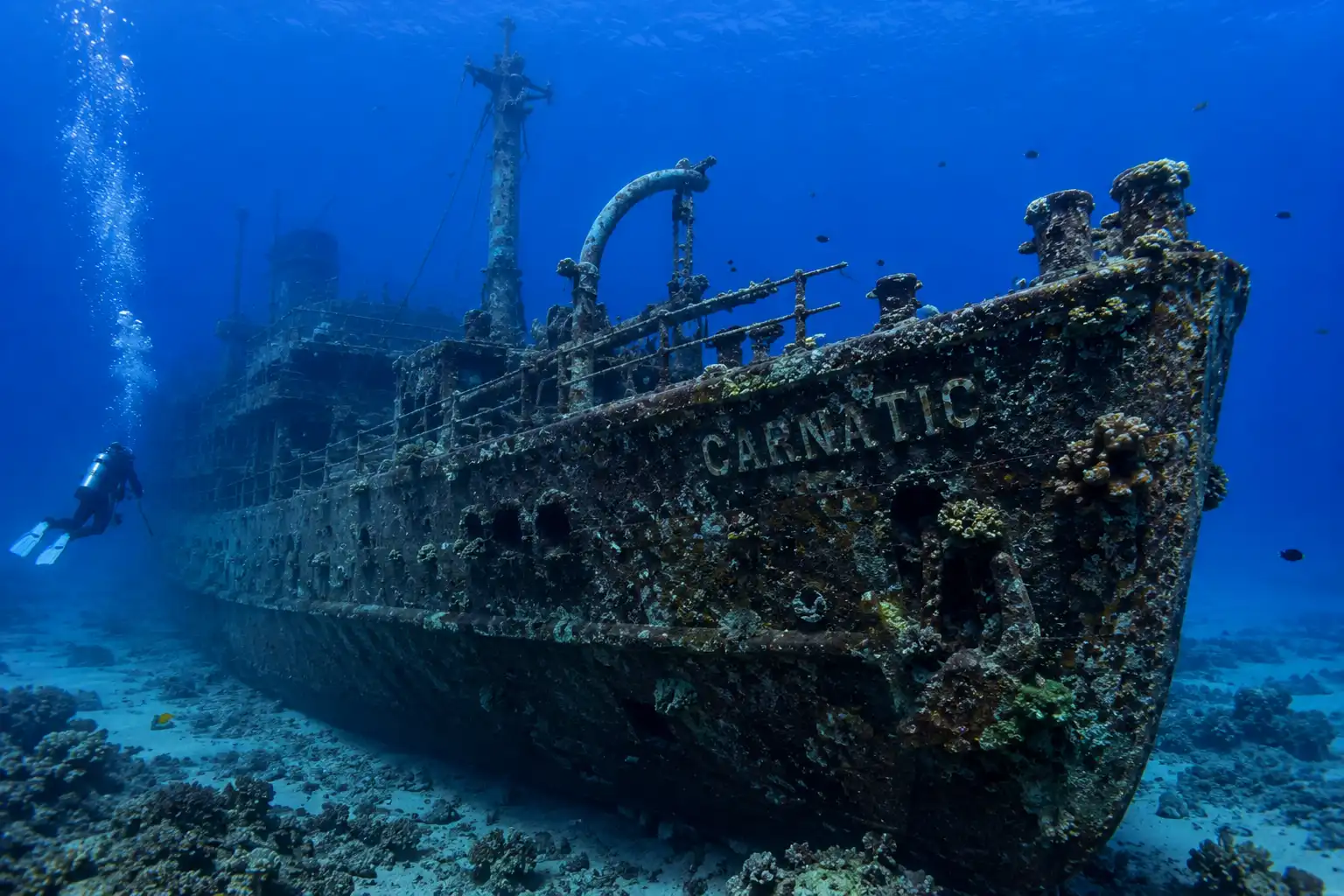 Carnatic shipwreck 1869 coral covered British steamship Red Sea