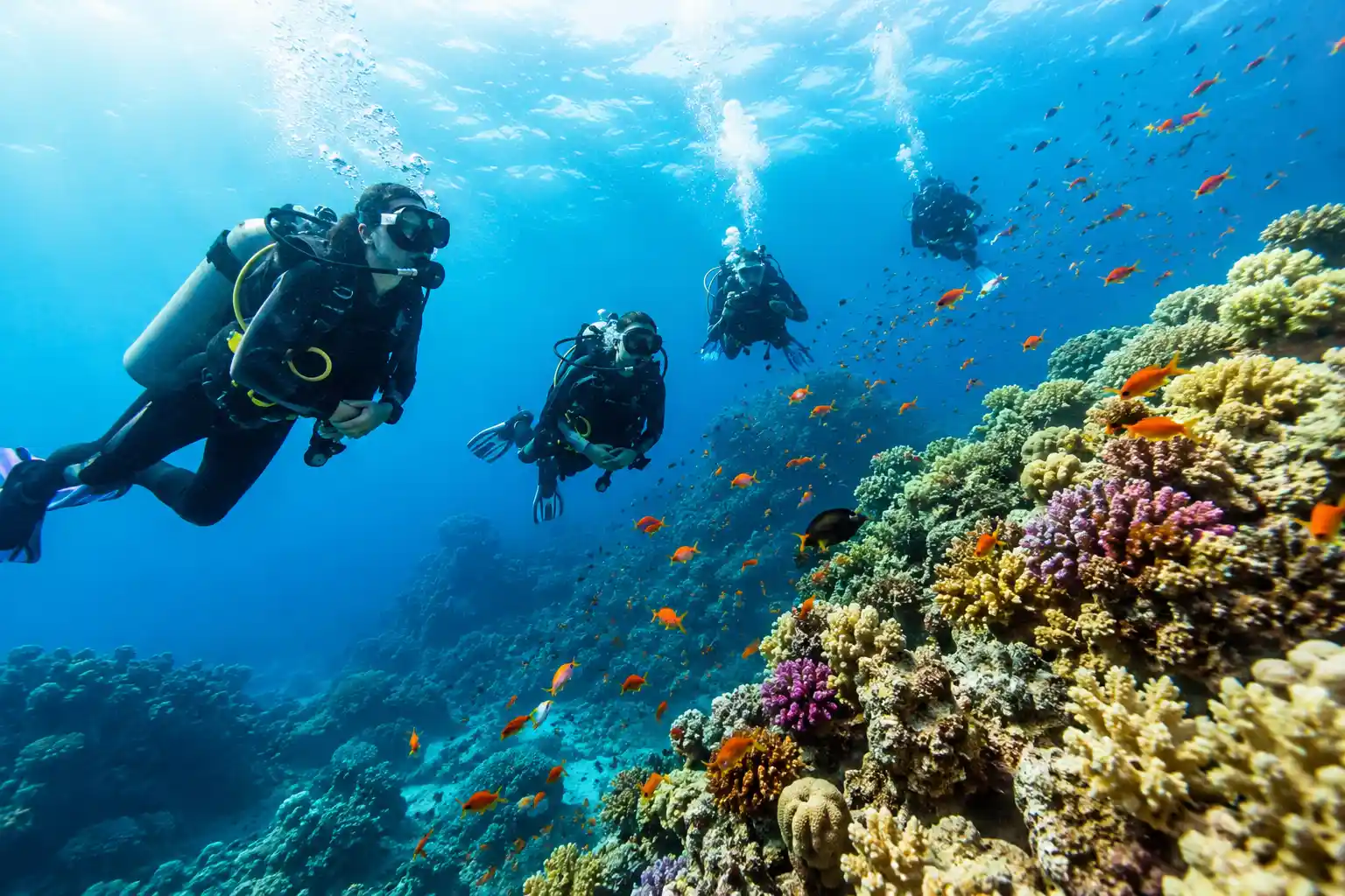 Group of scuba divers exploring coral reef Red Sea underwater