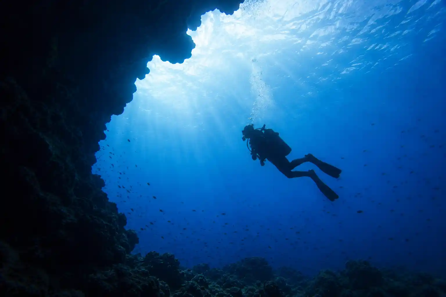 Scuba diver silhouette sun rays Red Sea underwater photography